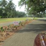 Leon Signs leading in driveway to Capital City Country Club
